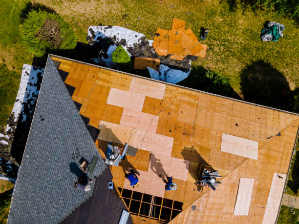Best Roof Maintenance Services  in Riceville, TN